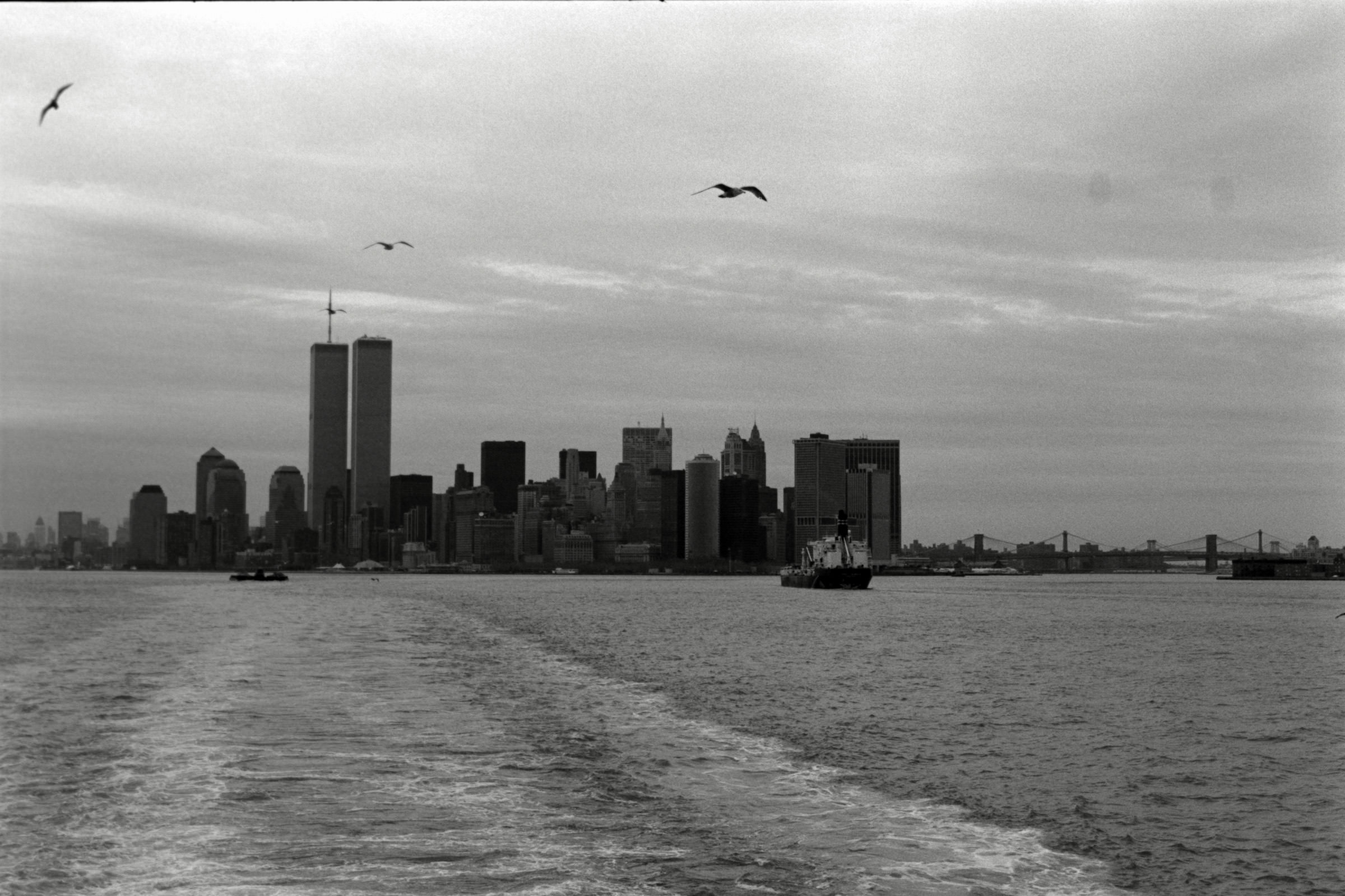 AHP F1995 04 003 sc240816 img30 NLP